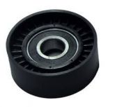 Polia da Correia do alternador Peugeot 307 Mtr EW10